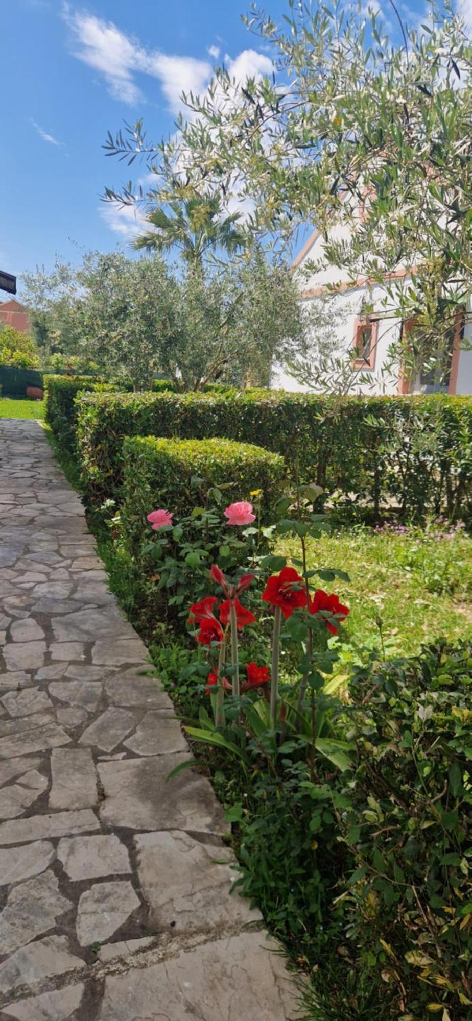 Corfu Studio 4U Rodas Exterior foto